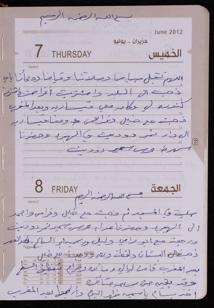 دفتر يوميات فضية الدرابيع، دورا- الخليل، 2012