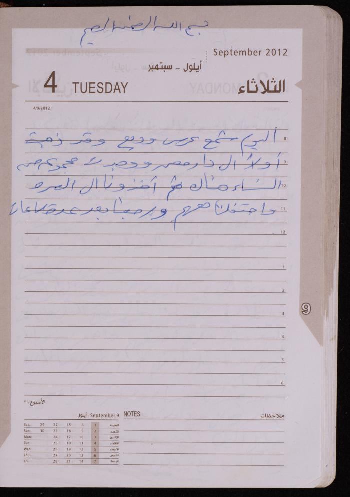 دفتر يوميات فضية الدرابيع، دورا- الخليل، 2012