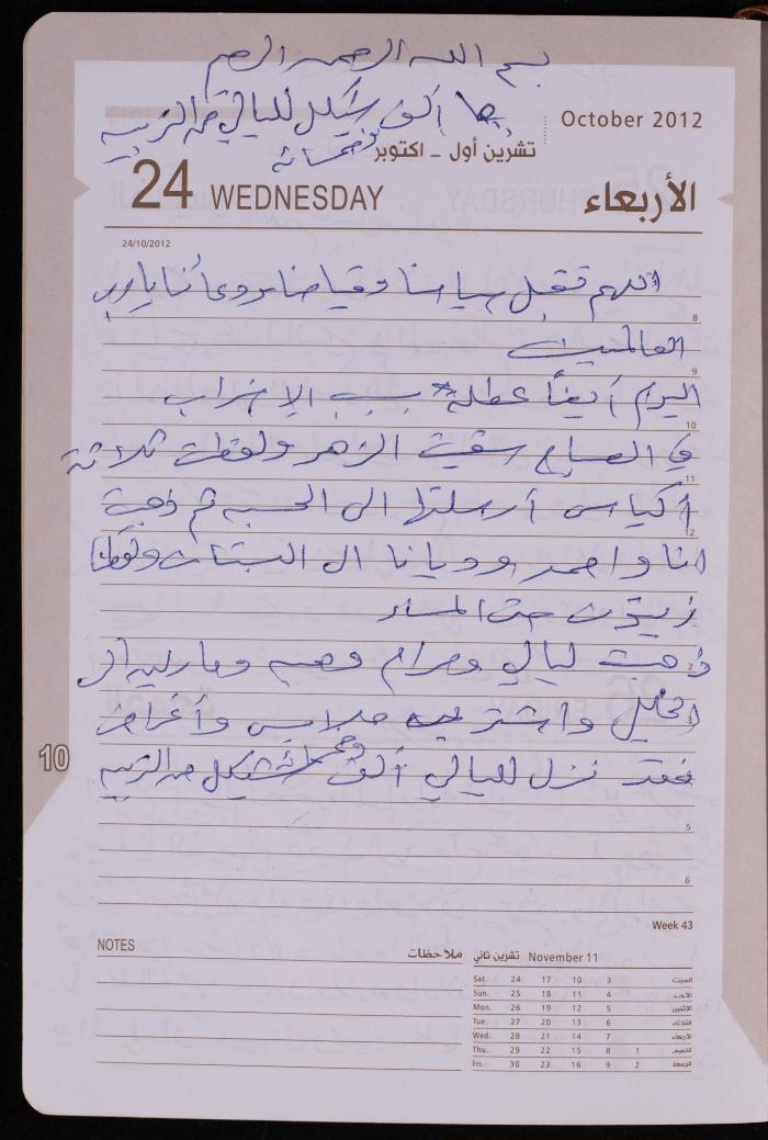 دفتر يوميات فضية الدرابيع، دورا- الخليل، 2012