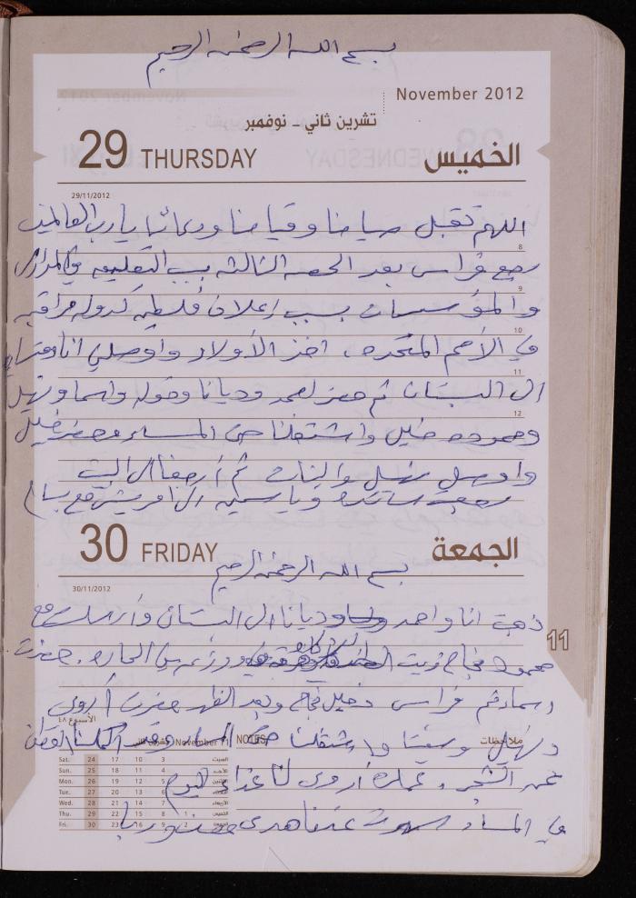 دفتر يوميات فضية الدرابيع، دورا- الخليل، 2012