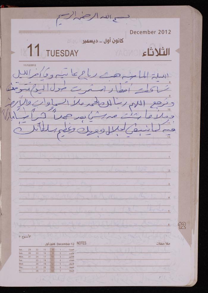 دفتر يوميات فضية الدرابيع، دورا- الخليل، 2012