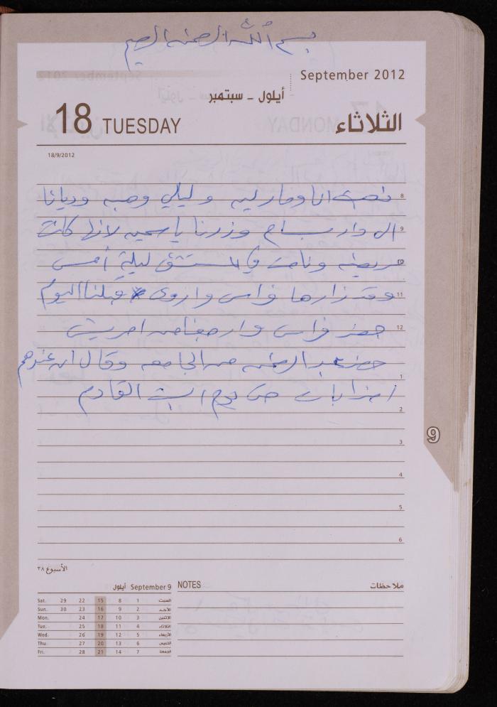 دفتر يوميات فضية الدرابيع، دورا- الخليل، 2012