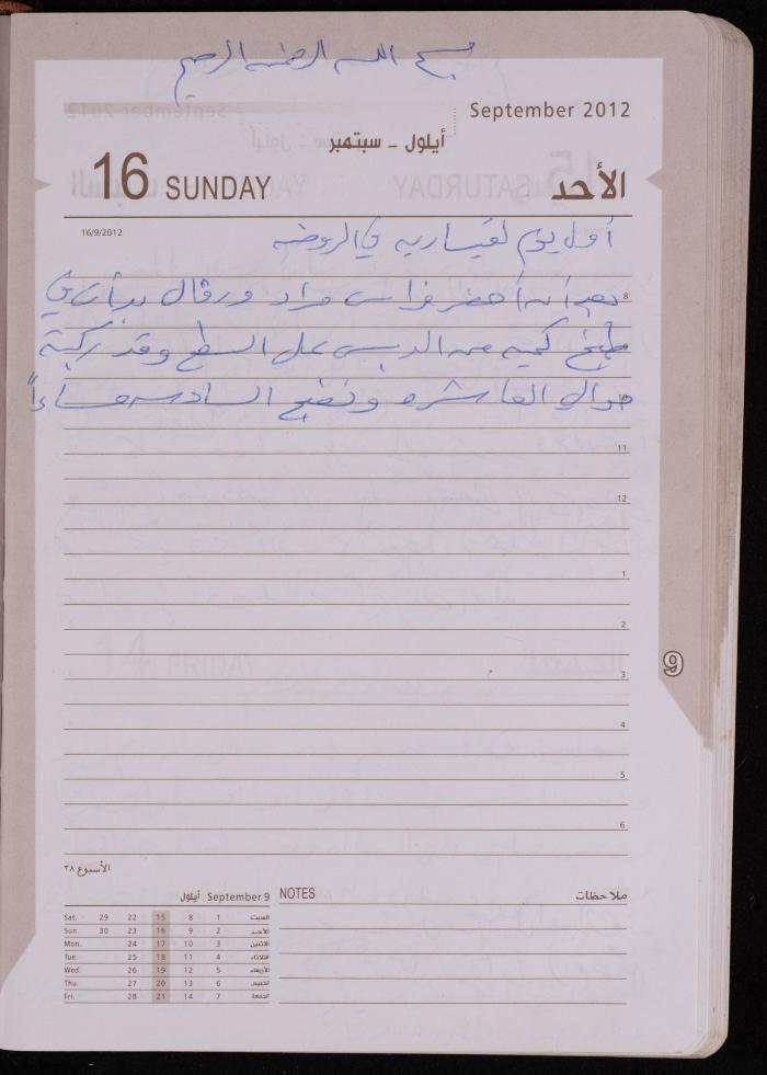 دفتر يوميات فضية الدرابيع، دورا- الخليل، 2012