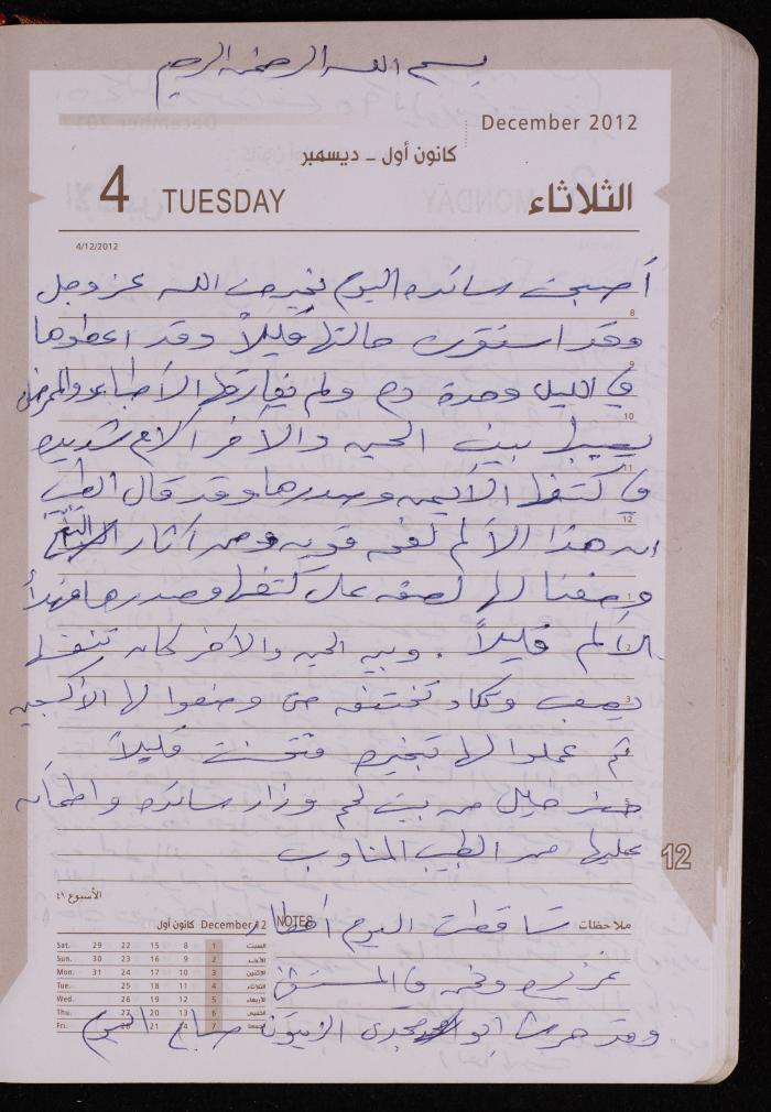 دفتر يوميات فضية الدرابيع، دورا- الخليل، 2012