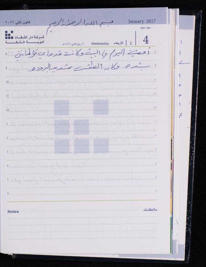 The Diary of Fadeyyeh Darabe, Dura- Hebron, 2017