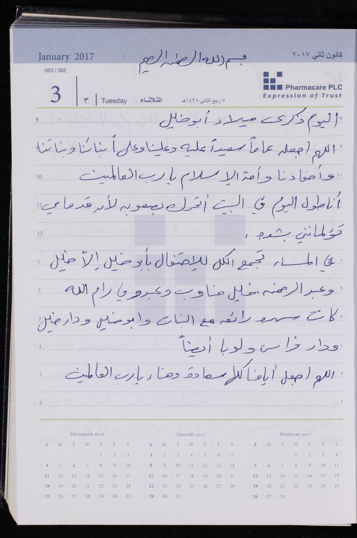 The Diary of Fadeyyeh Darabe, Dura- Hebron, 2017