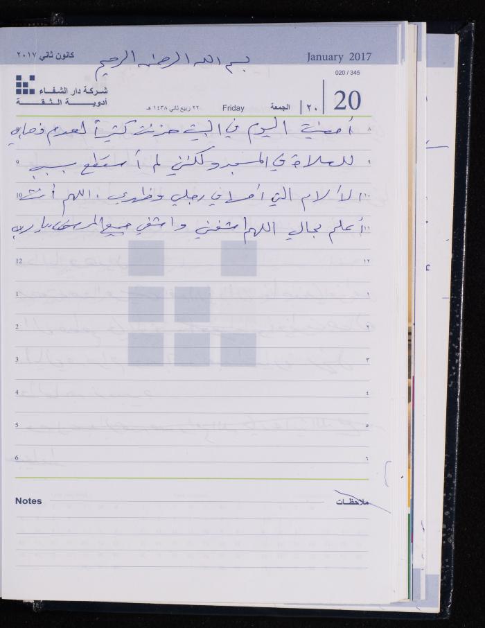 The Diary of Fadeyyeh Darabe, Dura- Hebron, 2017