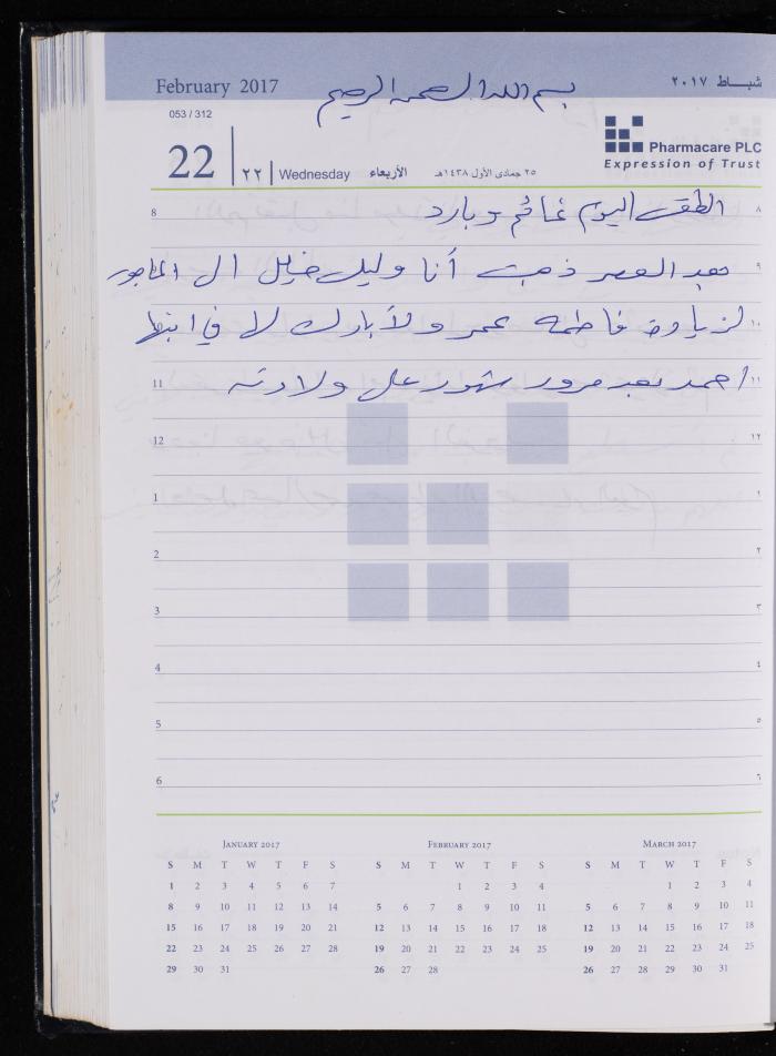 The Diary of Fadeyyeh Darabe, Dura- Hebron, 2017