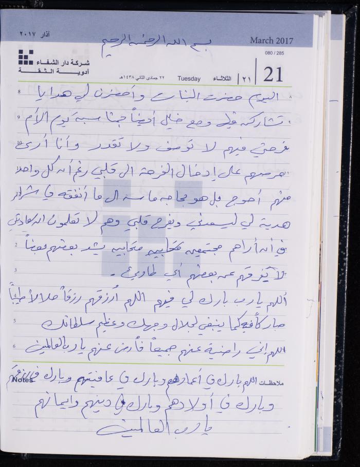 The Diary of Fadeyyeh Darabe, Dura- Hebron, 2017