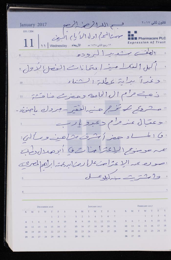 The Diary of Fadeyyeh Darabe, Dura- Hebron, 2017