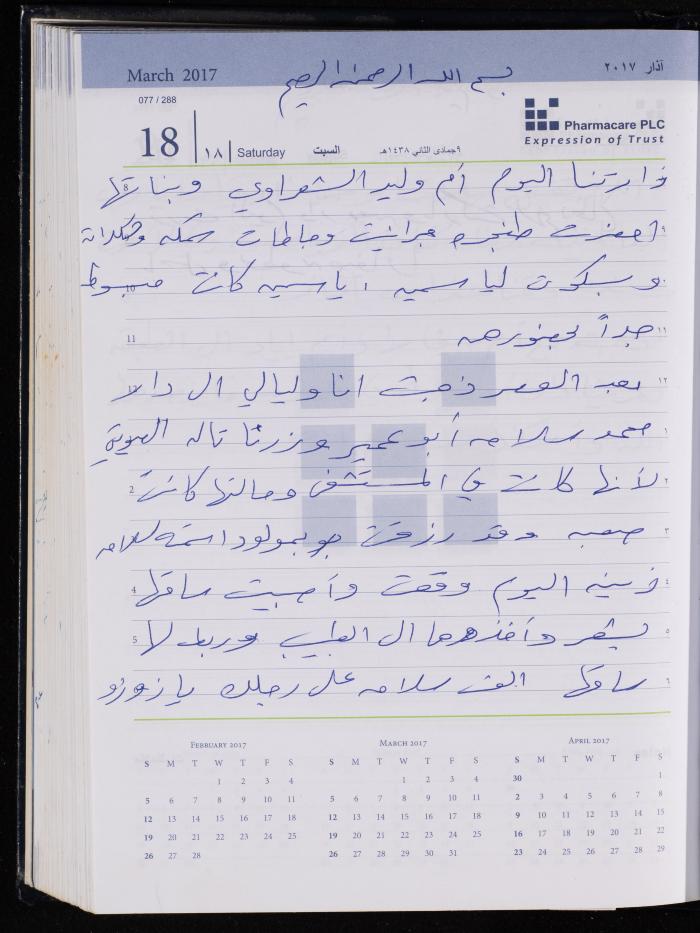 The Diary of Fadeyyeh Darabe, Dura- Hebron, 2017