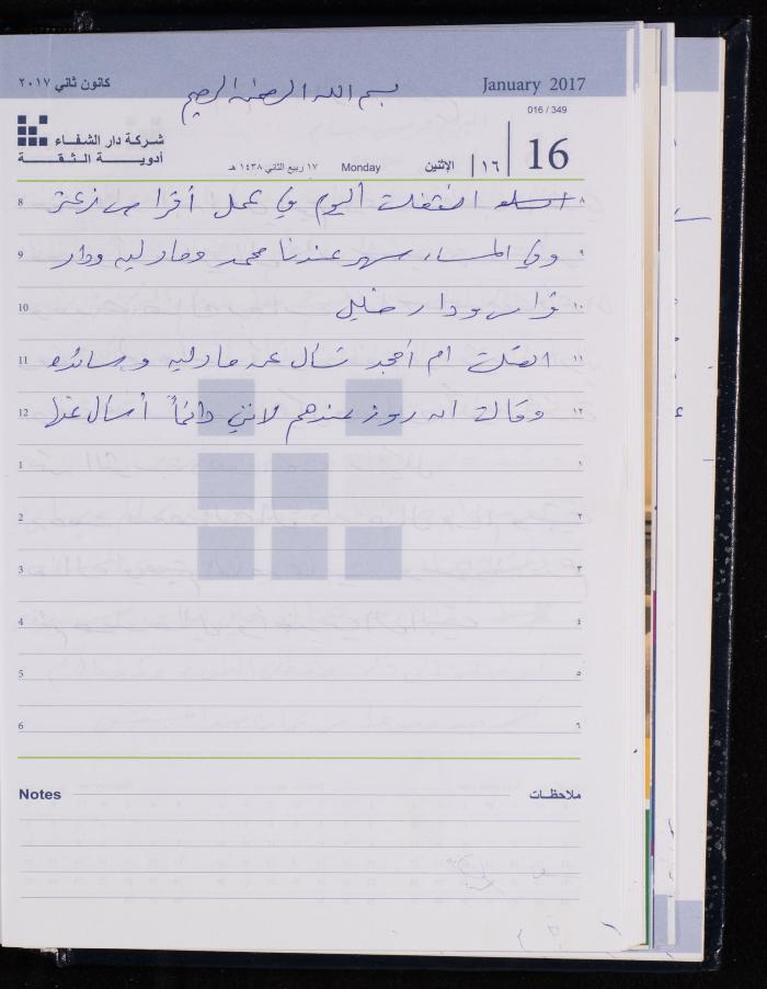 The Diary of Fadeyyeh Darabe, Dura- Hebron, 2017