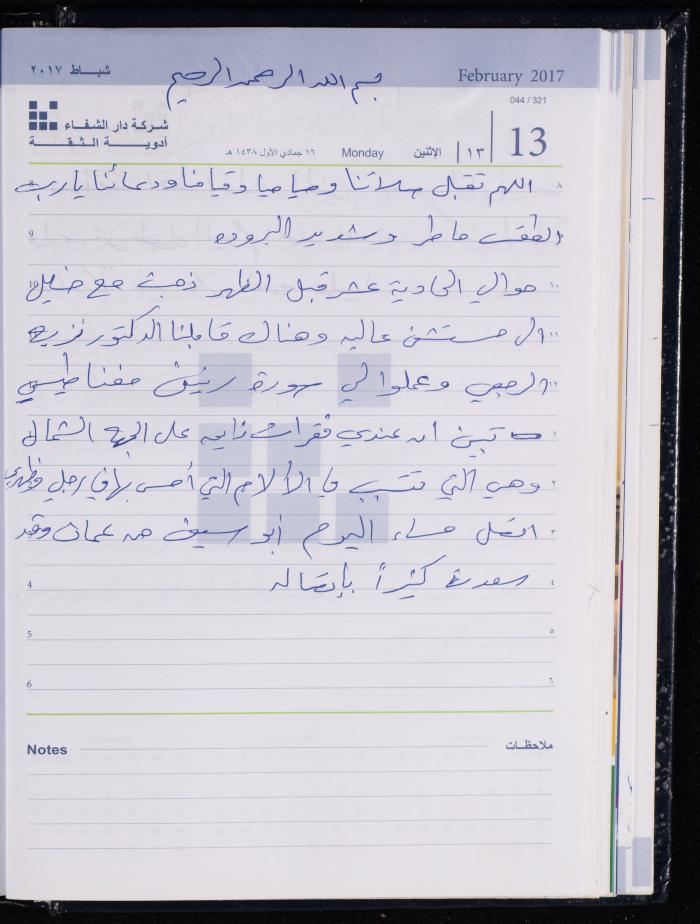 The Diary of Fadeyyeh Darabe, Dura- Hebron, 2017