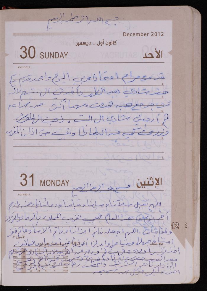 دفتر يوميات فضية الدرابيع، دورا- الخليل، 2012