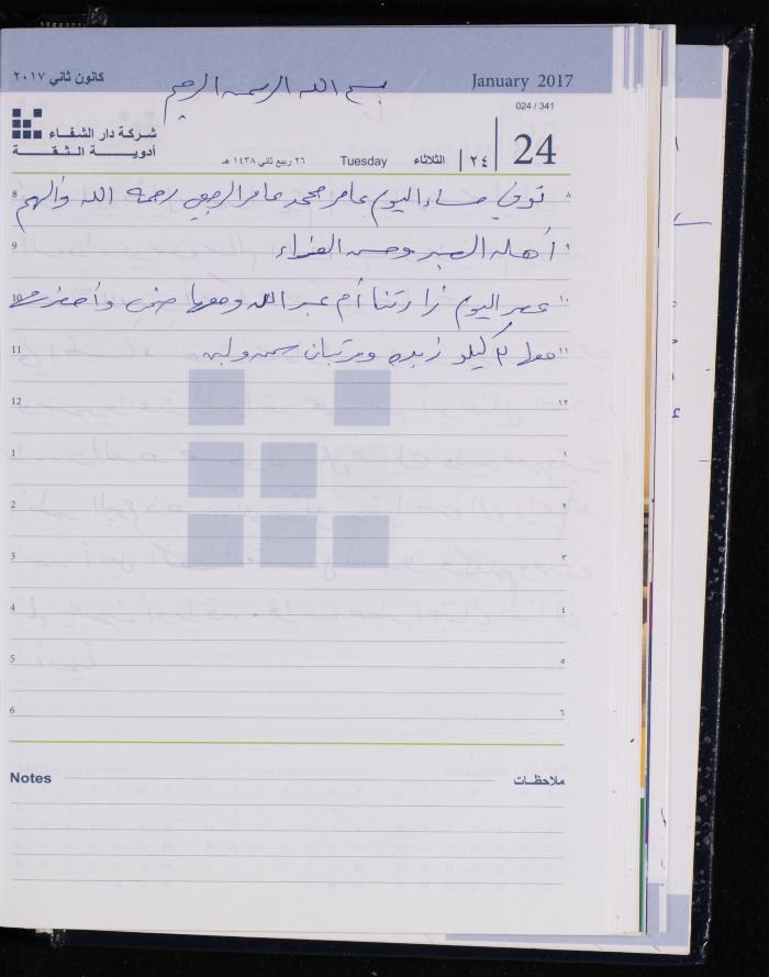 The Diary of Fadeyyeh Darabe, Dura- Hebron, 2017