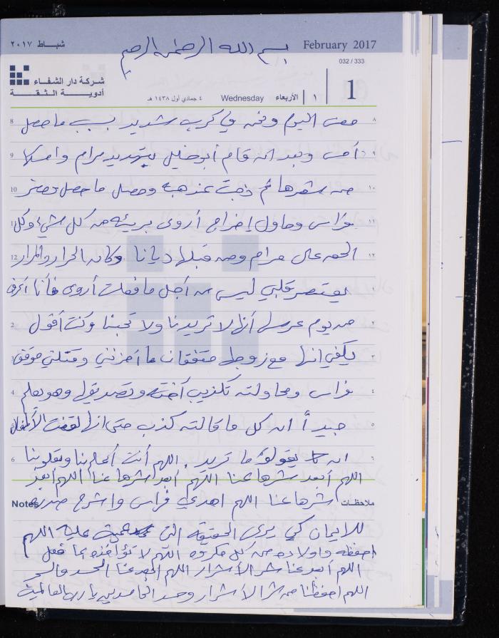The Diary of Fadeyyeh Darabe, Dura- Hebron, 2017