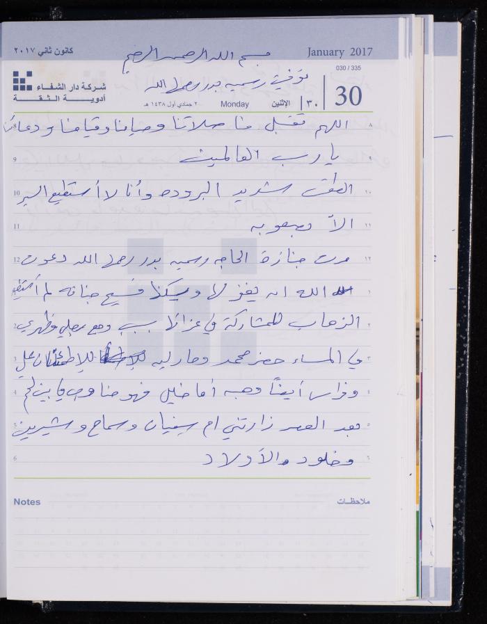 The Diary of Fadeyyeh Darabe, Dura- Hebron, 2017