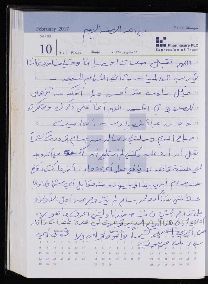 The Diary of Fadeyyeh Darabe, Dura- Hebron, 2017