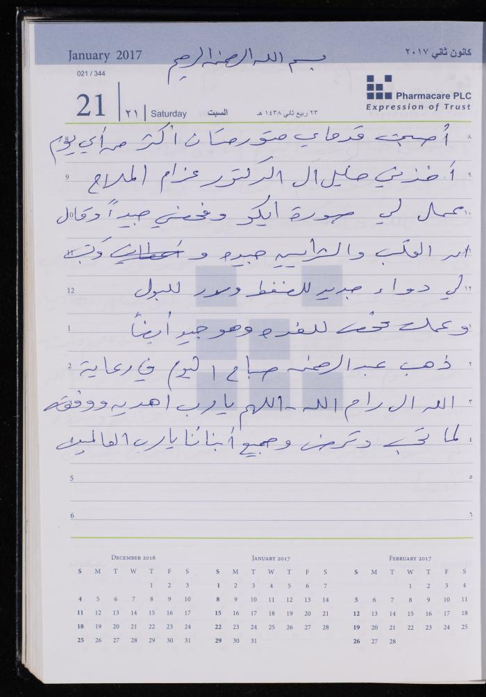 The Diary of Fadeyyeh Darabe, Dura- Hebron, 2017