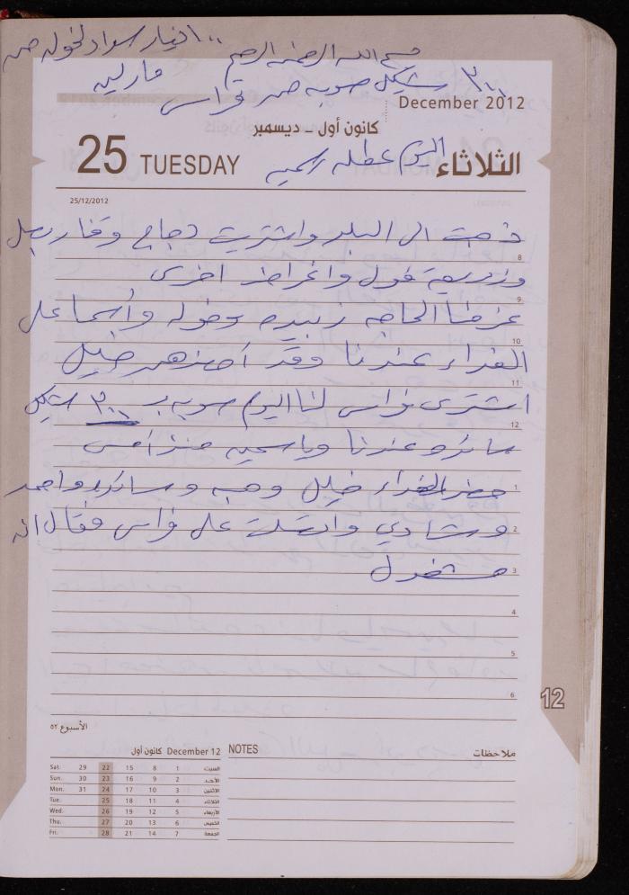 دفتر يوميات فضية الدرابيع، دورا- الخليل، 2012