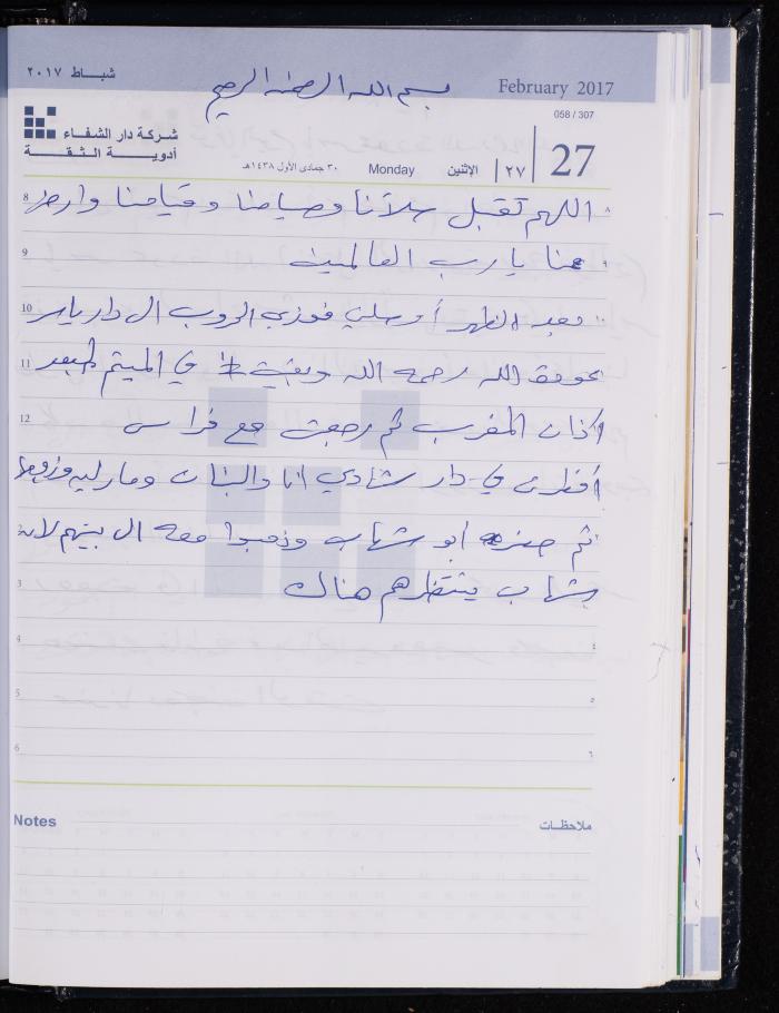 The Diary of Fadeyyeh Darabe, Dura- Hebron, 2017