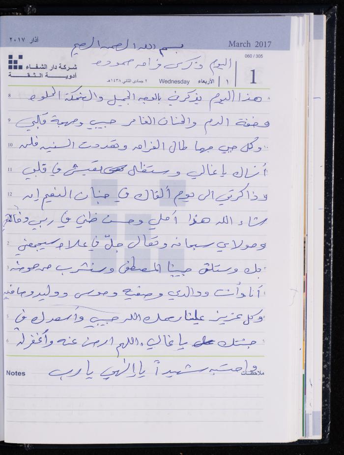 The Diary of Fadeyyeh Darabe, Dura- Hebron, 2017
