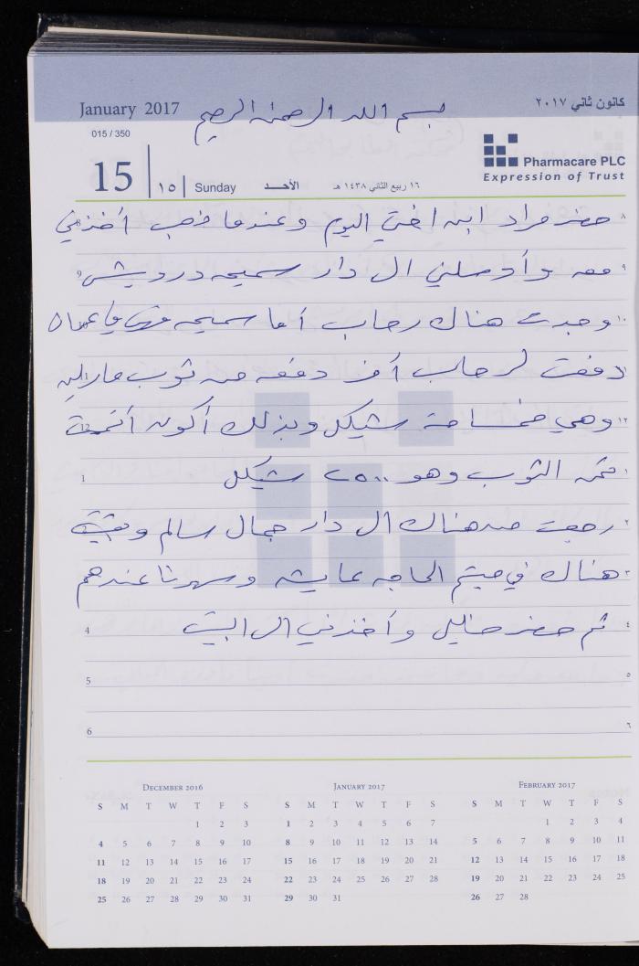 The Diary of Fadeyyeh Darabe, Dura- Hebron, 2017