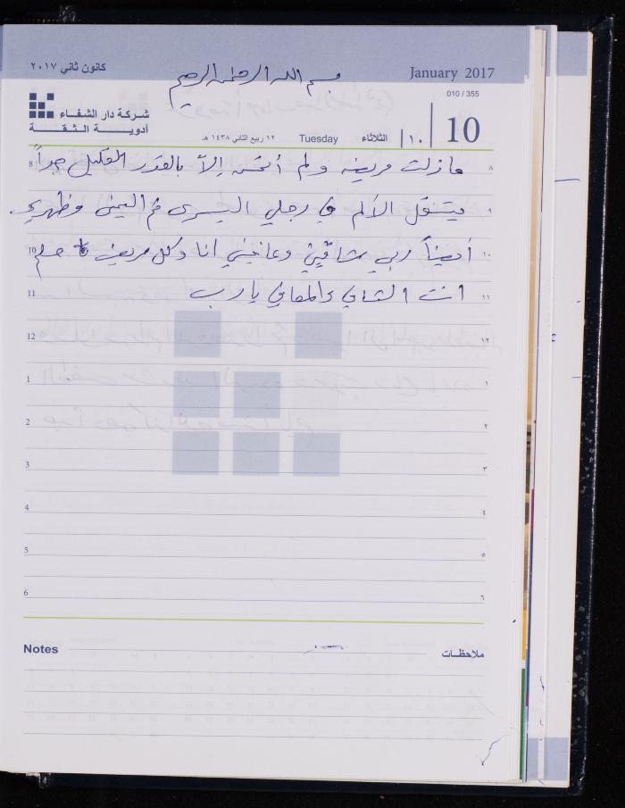 The Diary of Fadeyyeh Darabe, Dura- Hebron, 2017