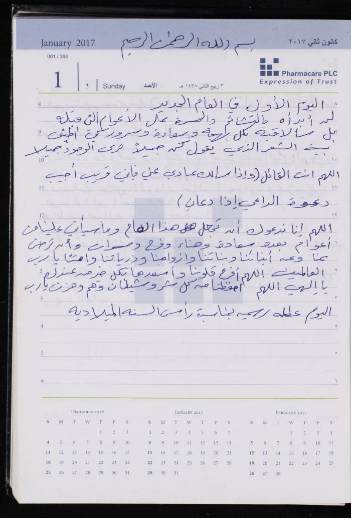 The Diary of Fadeyyeh Darabe, Dura- Hebron, 2017