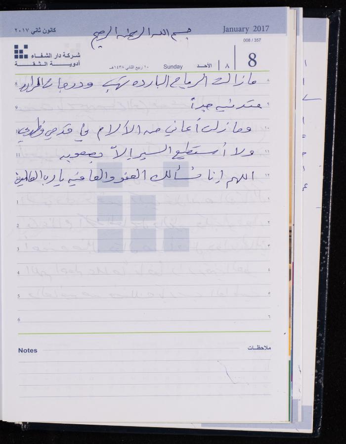 The Diary of Fadeyyeh Darabe, Dura- Hebron, 2017