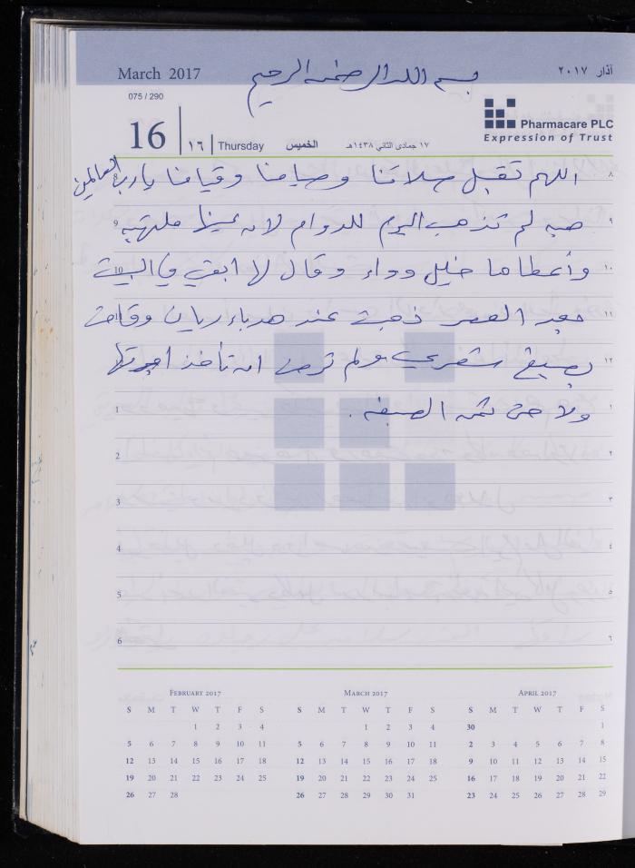 The Diary of Fadeyyeh Darabe, Dura- Hebron, 2017
