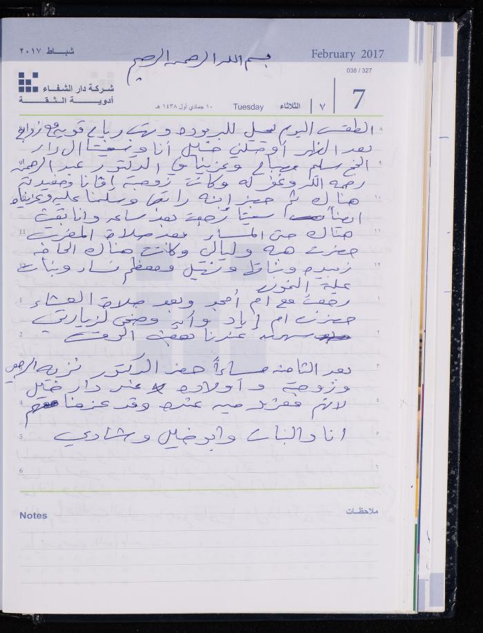 The Diary of Fadeyyeh Darabe, Dura- Hebron, 2017