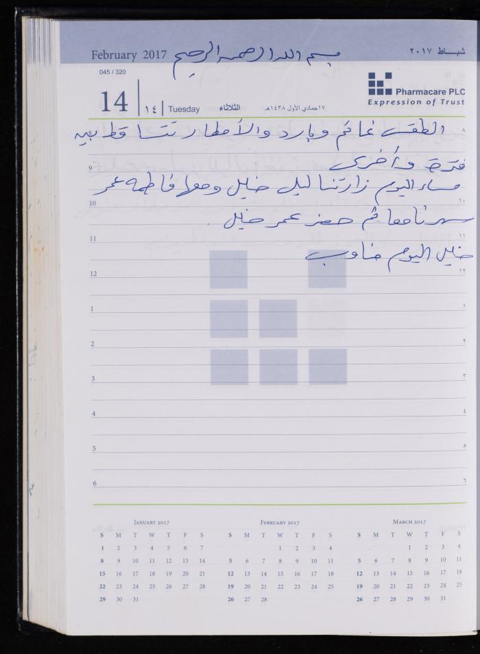 The Diary of Fadeyyeh Darabe, Dura- Hebron, 2017