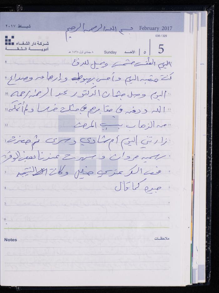 The Diary of Fadeyyeh Darabe, Dura- Hebron, 2017