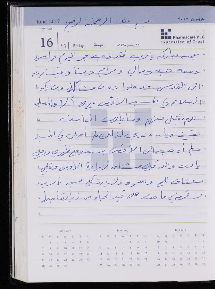 The Diary of Fadeyyeh Darabe, Dura- Hebron, 2017