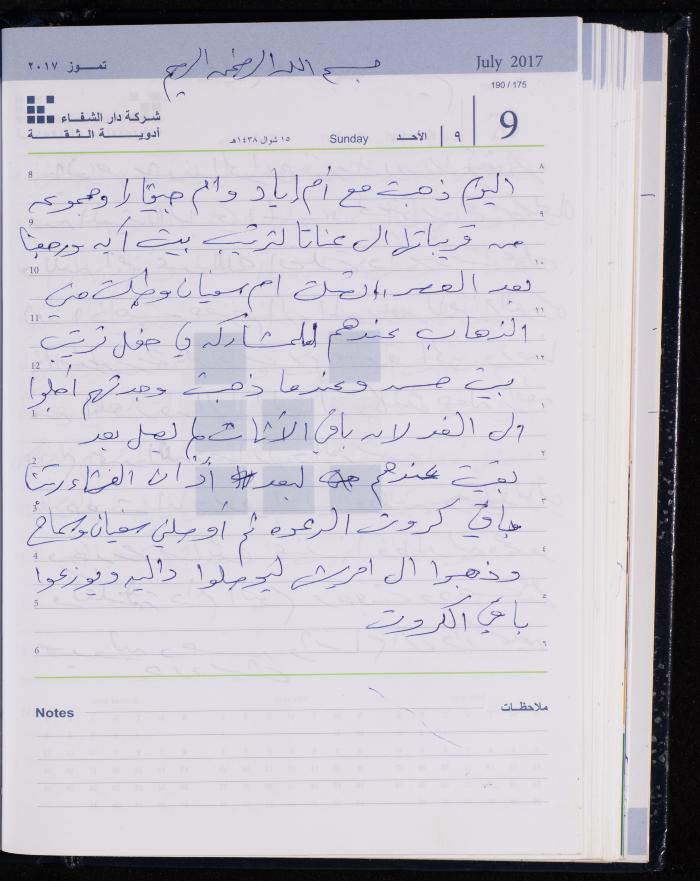 The Diary of Fadeyyeh Darabe, Dura- Hebron, 2017