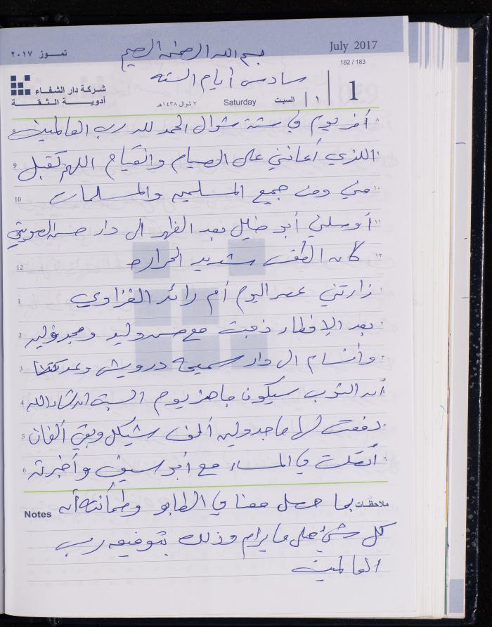 The Diary of Fadeyyeh Darabe, Dura- Hebron, 2017