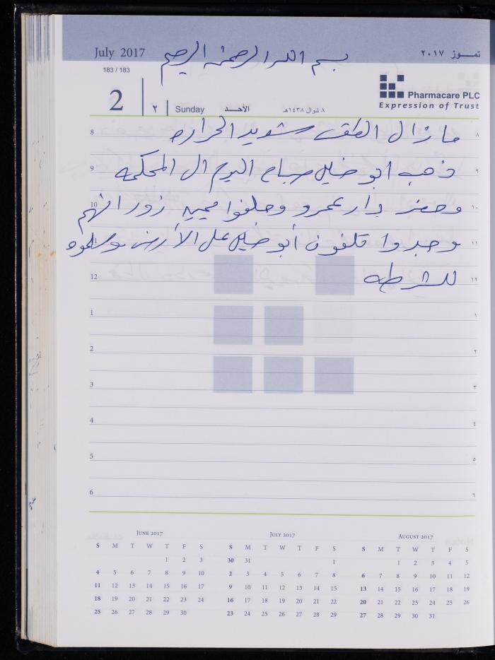 The Diary of Fadeyyeh Darabe, Dura- Hebron, 2017