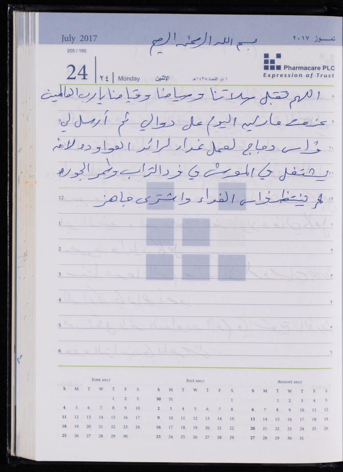 The Diary of Fadeyyeh Darabe, Dura- Hebron, 2017