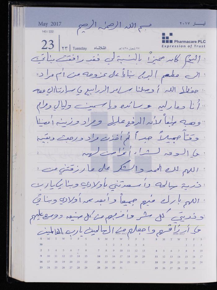 The Diary of Fadeyyeh Darabe, Dura- Hebron, 2017