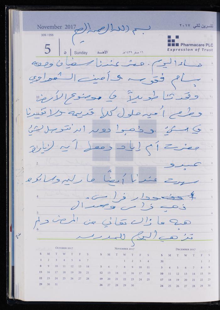The Diary of Fadeyyeh Darabe, Dura- Hebron, 2017