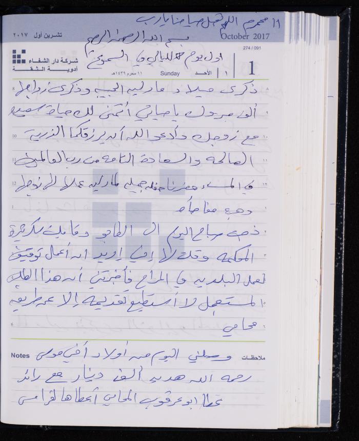 The Diary of Fadeyyeh Darabe, Dura- Hebron, 2017