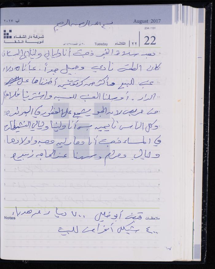 The Diary of Fadeyyeh Darabe, Dura- Hebron, 2017