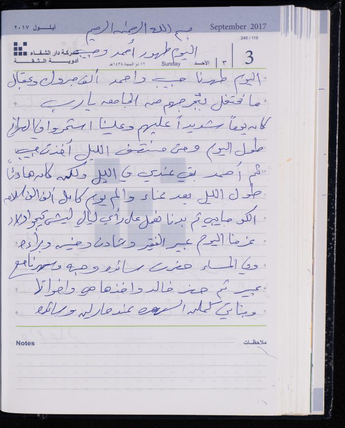 The Diary of Fadeyyeh Darabe, Dura- Hebron, 2017