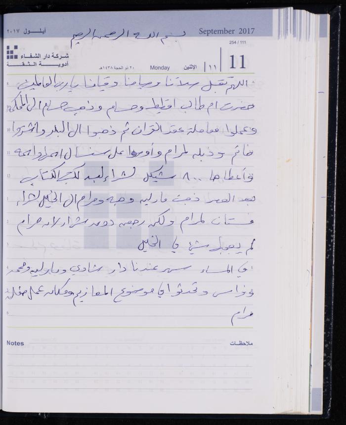 The Diary of Fadeyyeh Darabe, Dura- Hebron, 2017