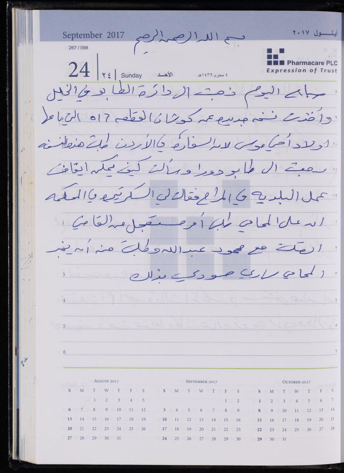 The Diary of Fadeyyeh Darabe, Dura- Hebron, 2017