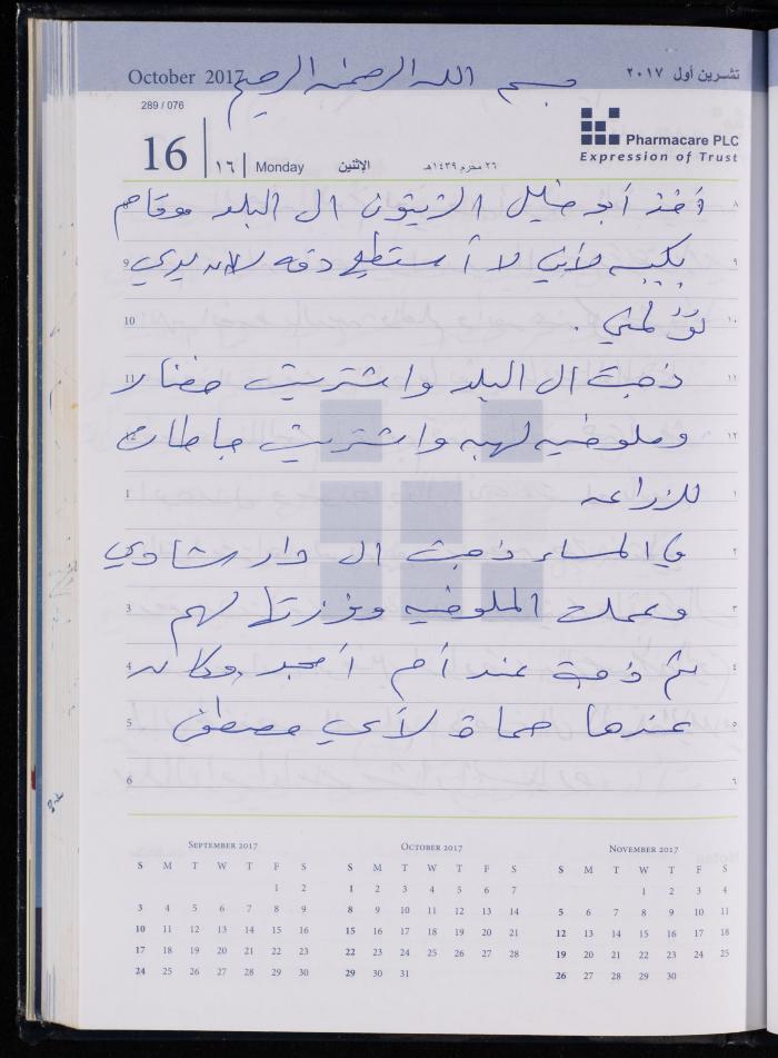 The Diary of Fadeyyeh Darabe, Dura- Hebron, 2017