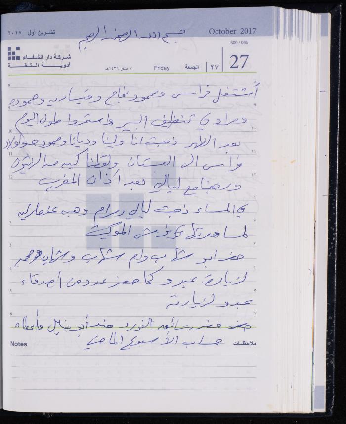 The Diary of Fadeyyeh Darabe, Dura- Hebron, 2017