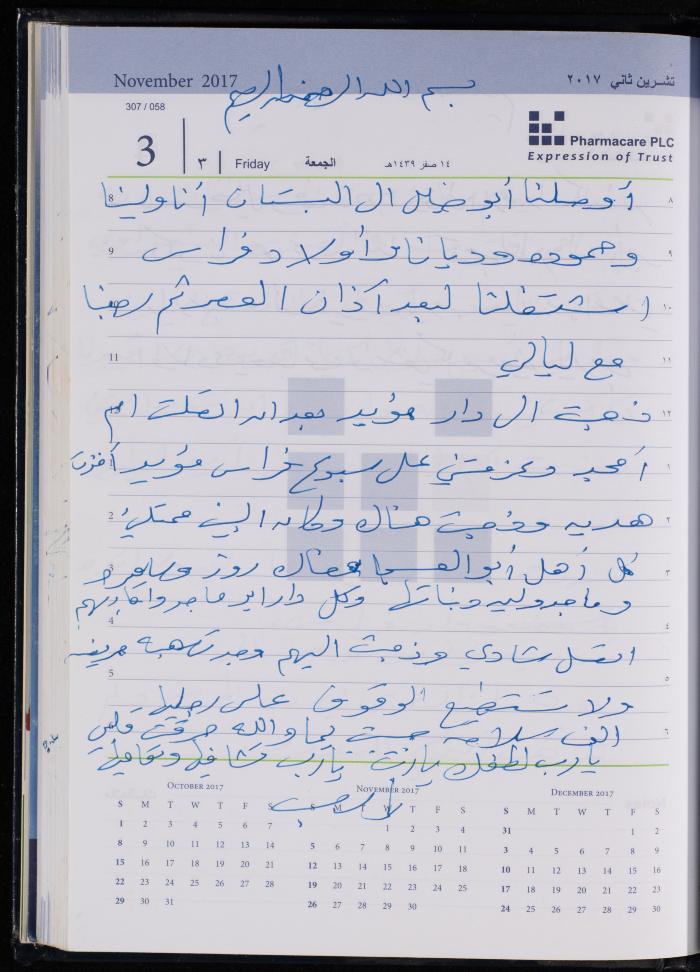 The Diary of Fadeyyeh Darabe, Dura- Hebron, 2017