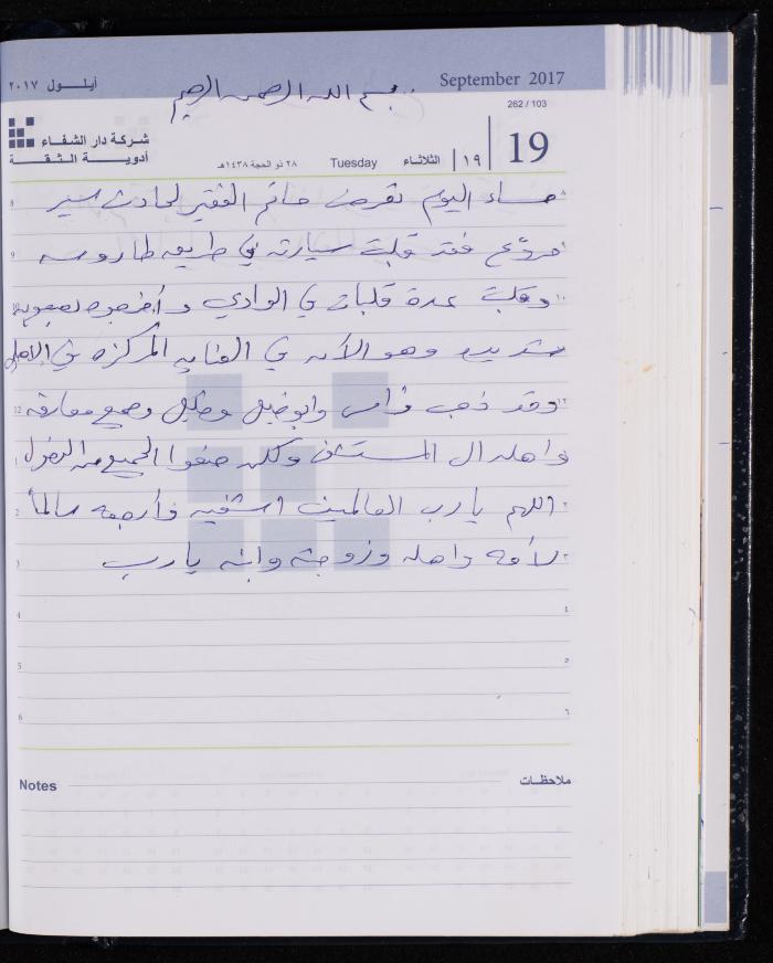 The Diary of Fadeyyeh Darabe, Dura- Hebron, 2017
